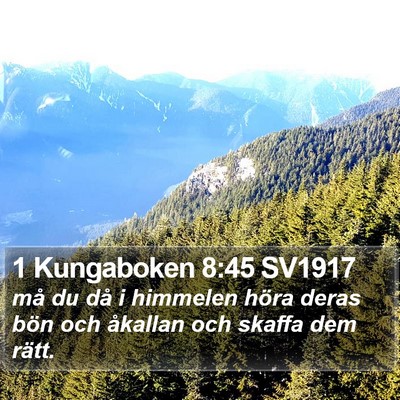 1 Kungaboken 8:45 SV1917 Bible Verse Image