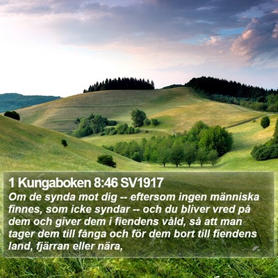 1 Kungaboken 8:46 SV1917 Bible Verse Image