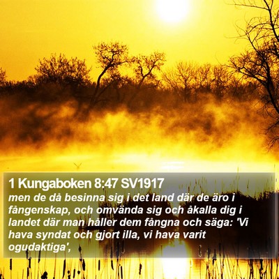 1 Kungaboken 8:47 SV1917 Bible Verse Image