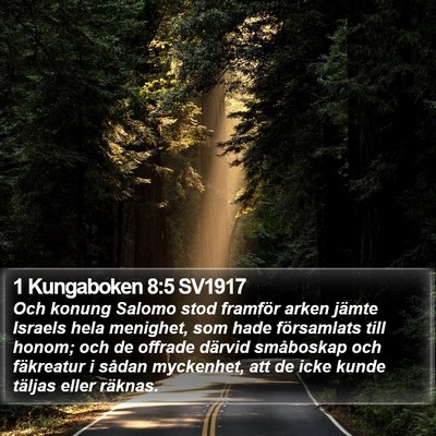 1 Kungaboken 8:5 SV1917 Bible Verse Image