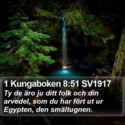 1 Kungaboken 8:51 SV1917 Bible Verse Image