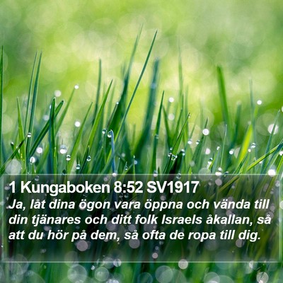 1 Kungaboken 8:52 SV1917 Bible Verse Image
