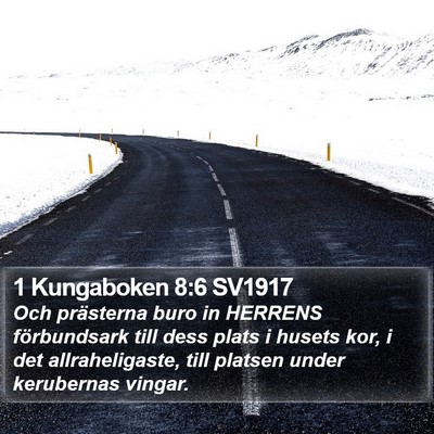 1 Kungaboken 8:6 SV1917 Bible Verse Image