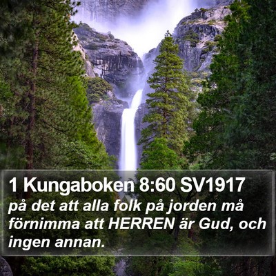 1 Kungaboken 8:60 SV1917 Bible Verse Image