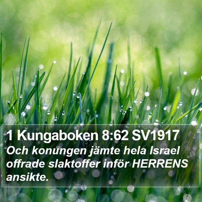 1 Kungaboken 8:62 SV1917 Bible Verse Image