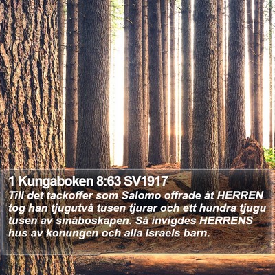 1 Kungaboken 8:63 SV1917 Bible Verse Image