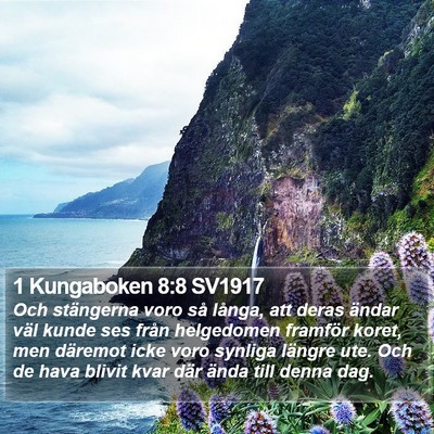 1 Kungaboken 8:8 SV1917 Bible Verse Image