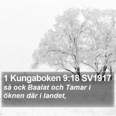 1 Kungaboken 9:18 SV1917 Bible Verse Image