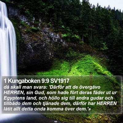 1 Kungaboken 9:9 SV1917 Bible Verse Image