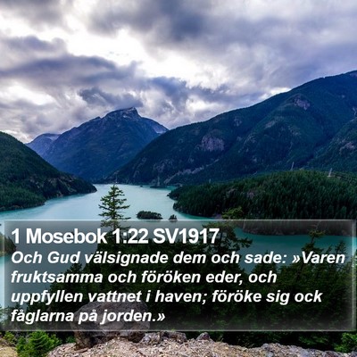 1 Mosebok 1:22 SV1917 Bible Verse Image