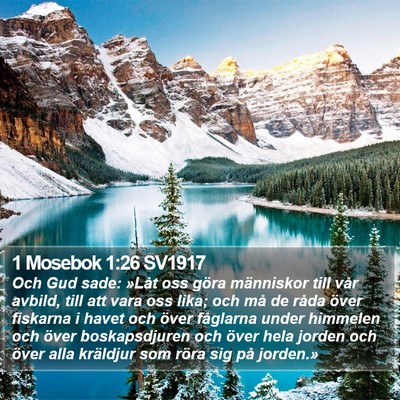 1 Mosebok 1:26 SV1917 Bible Verse Image
