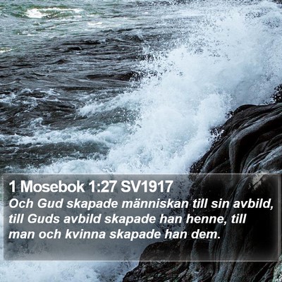 1 Mosebok 1:27 SV1917 Bible Verse Image
