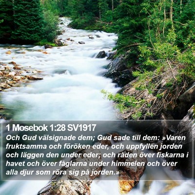 1 Mosebok 1:28 SV1917 Bible Verse Image