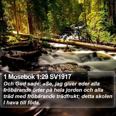 1 Mosebok 1:29 SV1917 Bible Verse Image