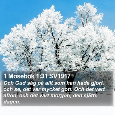 1 Mosebok 1:31 SV1917 Bible Verse Image
