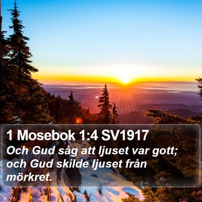 1 Mosebok 1:4 SV1917 Bible Verse Image
