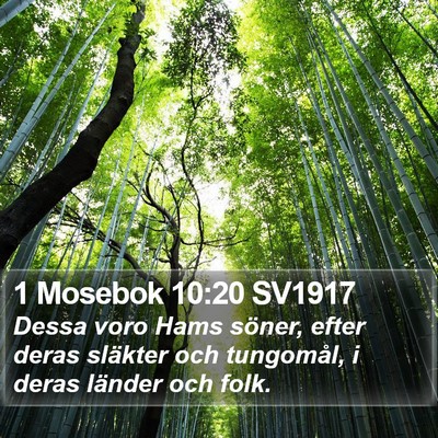 1 Mosebok 10:20 SV1917 Bible Verse Image