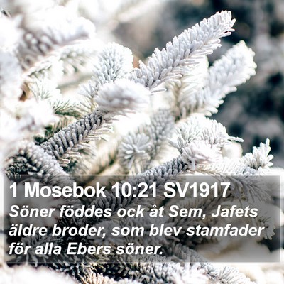 1 Mosebok 10:21 SV1917 Bible Verse Image