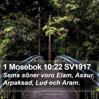 1 Mosebok 10:22 SV1917 Bible Verse Image