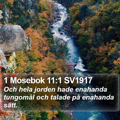 1 Mosebok 11:1 SV1917 Bible Verse Image