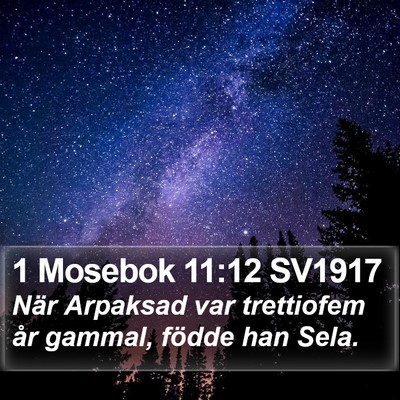 1 Mosebok 11:12 SV1917 Bible Verse Image