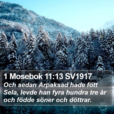 1 Mosebok 11:13 SV1917 Bible Verse Image