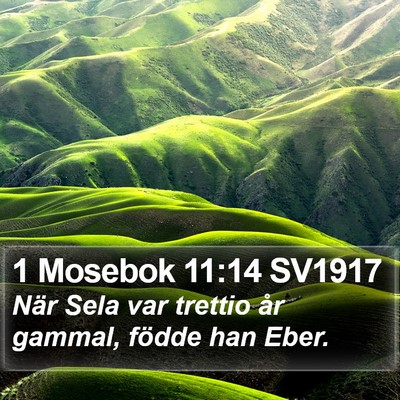 1 Mosebok 11:14 SV1917 Bible Verse Image