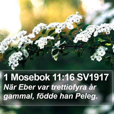 1 Mosebok 11:16 SV1917 Bible Verse Image