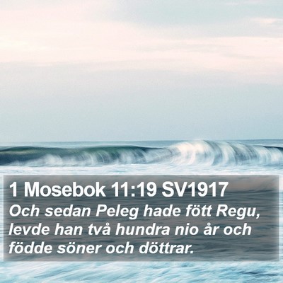 1 Mosebok 11:19 SV1917 Bible Verse Image