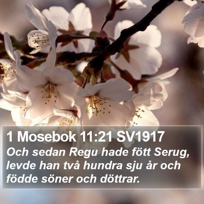 1 Mosebok 11:21 SV1917 Bible Verse Image