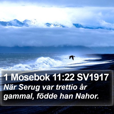 1 Mosebok 11:22 SV1917 Bible Verse Image