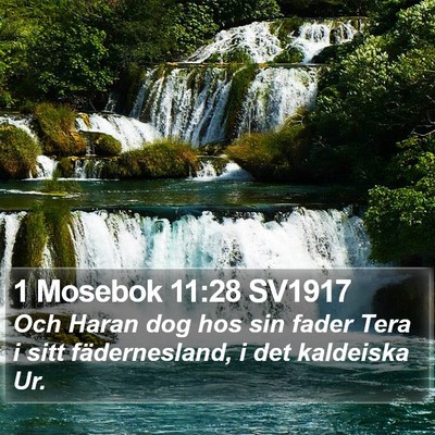 1 Mosebok 11:28 SV1917 Bible Verse Image