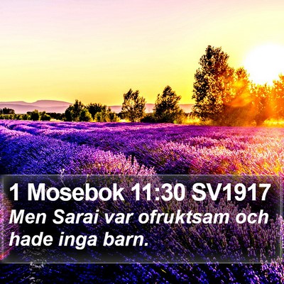 1 Mosebok 11:30 SV1917 Bible Verse Image