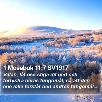 1 Mosebok 11:7 SV1917 Bible Verse Image