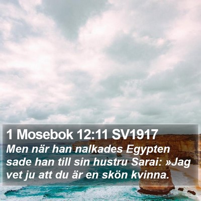 1 Mosebok 12:11 SV1917 Bible Verse Image
