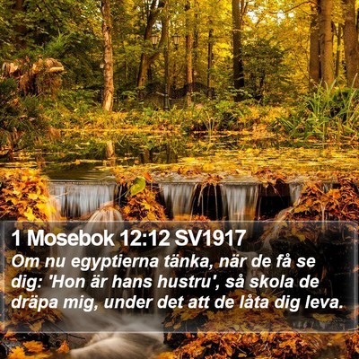 1 Mosebok 12:12 SV1917 Bible Verse Image