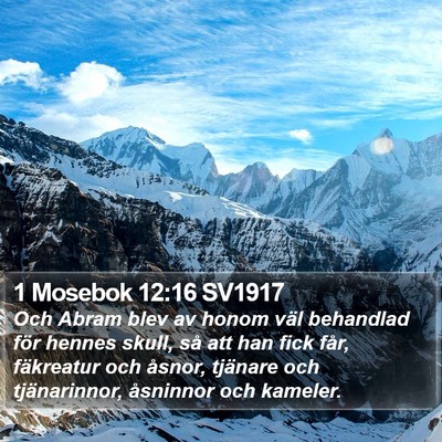 1 Mosebok 12:16 SV1917 Bible Verse Image