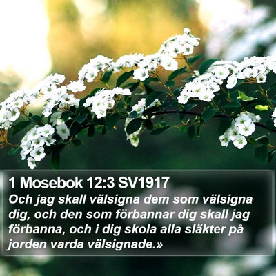 1 Mosebok 12:3 SV1917 Bible Verse Image