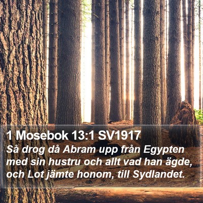 1 Mosebok 13:1 SV1917 Bible Verse Image