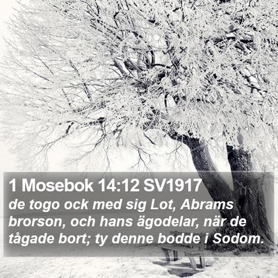 1 Mosebok 14:12 SV1917 Bible Verse Image