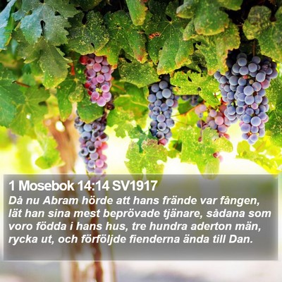 1 Mosebok 14:14 SV1917 Bible Verse Image