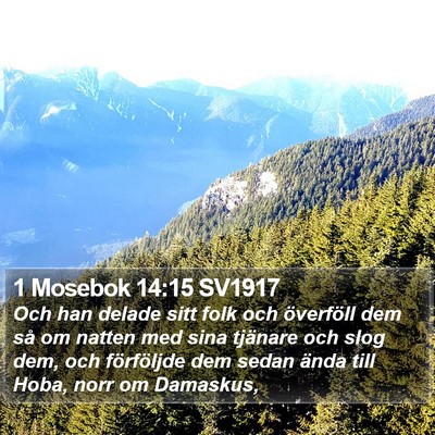 1 Mosebok 14:15 SV1917 Bible Verse Image