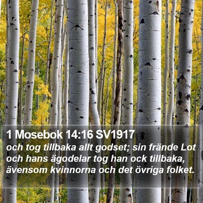 1 Mosebok 14:16 SV1917 Bible Verse Image