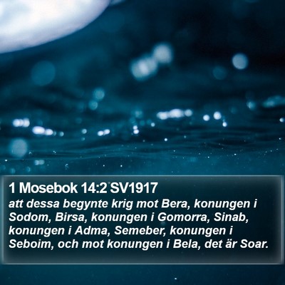 1 Mosebok 14:2 SV1917 Bible Verse Image