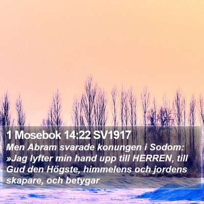 1 Mosebok 14:22 SV1917 Bible Verse Image
