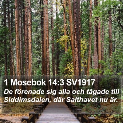 1 Mosebok 14:3 SV1917 Bible Verse Image