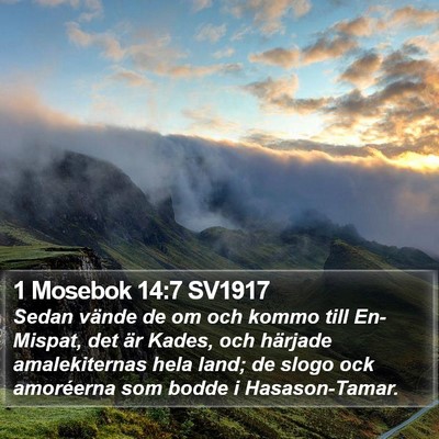 1 Mosebok 14:7 SV1917 Bible Verse Image