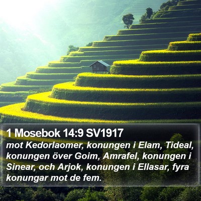 1 Mosebok 14:9 SV1917 Bible Verse Image
