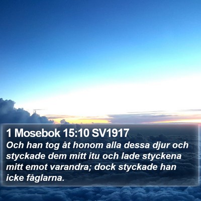 1 Mosebok 15:10 SV1917 Bible Verse Image