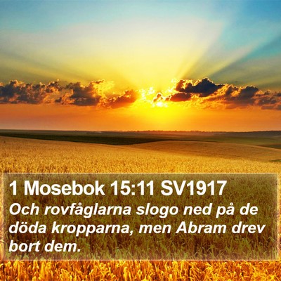 1 Mosebok 15:11 SV1917 Bible Verse Image